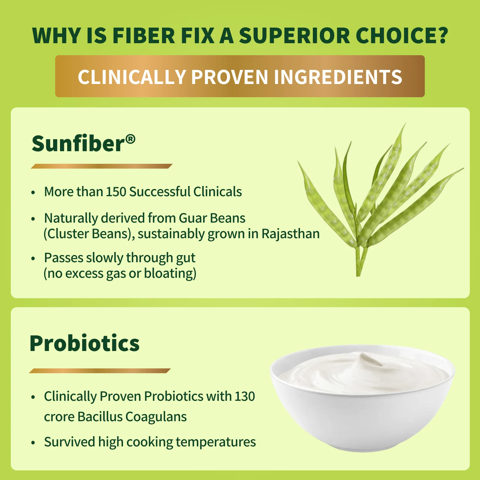 Fiber Fix – Supports Everyday Digestive Health - Image 5