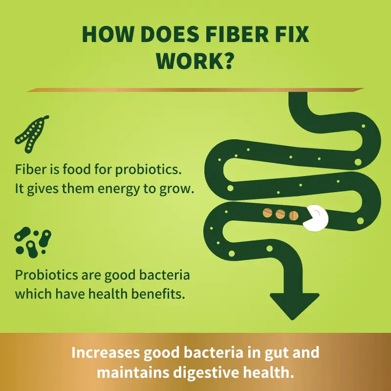 Fiber Fix – Supports Everyday Digestive Health - Image 8